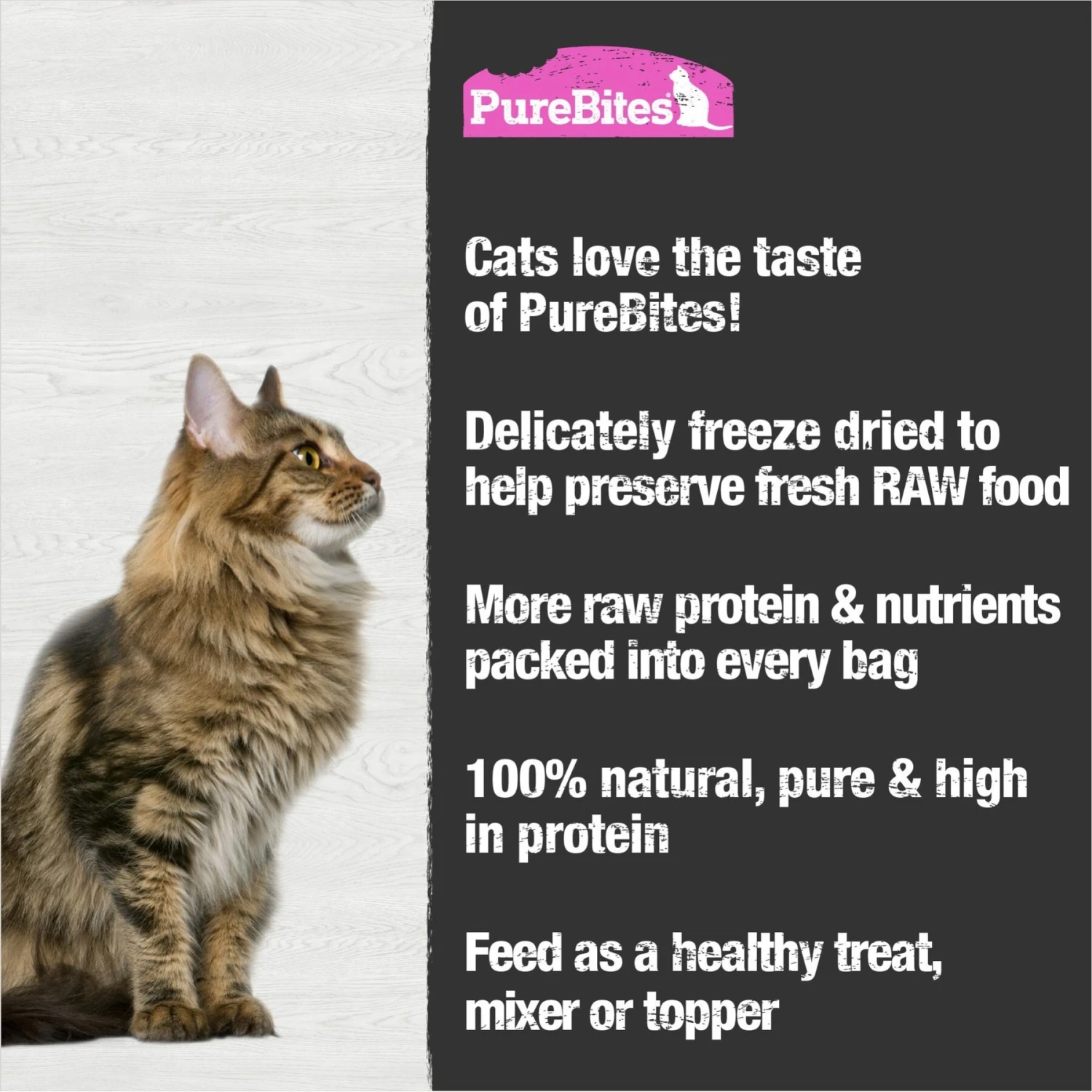 PureBites Shrimp Freeze-Dried Cat Treat & PureBites Freeze-Dried Salmon Cat Treats 10 PureBites Shrimp Freeze-Dried Cat Treat & PureBites Freeze-Dried Salmon Cat Treats - Image 8