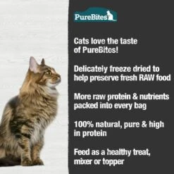 PureBites Shrimp Freeze-Dried Cat Treat & PureBites Minnow Freeze-Dried Cat Treat 17 PureBites Shrimp Freeze-Dried Cat Treat & PureBites Minnow Freeze-Dried Cat Treat -Blue Buffalo Shop 784054 PT7. AC SS1800 V1677513247