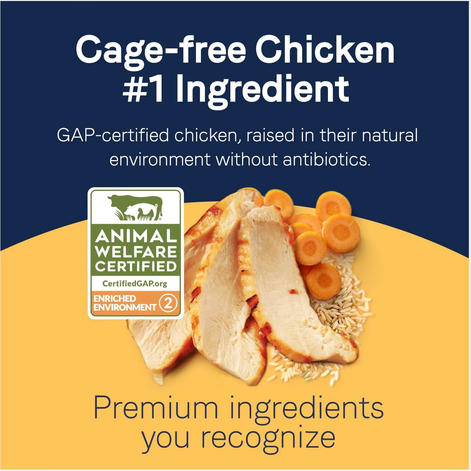 CANIDAE PURE Real Chicken & Rice Bone Broth Wet Dog Food Topper, 5.5-oz Box, Case Of 6 5 CANIDAE PURE Real Chicken & Rice Bone Broth Wet Dog Food Topper, 5.5-oz Box, Case Of 6 - Image 3