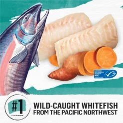 Purina Beyond Grain-Free Natural Simply Wild Caught Whitefish & Cage Free Egg Recipe Dry Cat Food -Blue Buffalo Shop 79004 PT2. AC SS1800 V1703623808