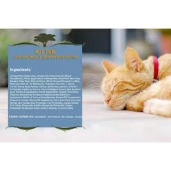 Blackwood Chicken Meal & Rice Recipe Kitten Formula Dry Cat Food -Blue Buffalo Shop 79087 PT2. AC SS1800 V1550528537