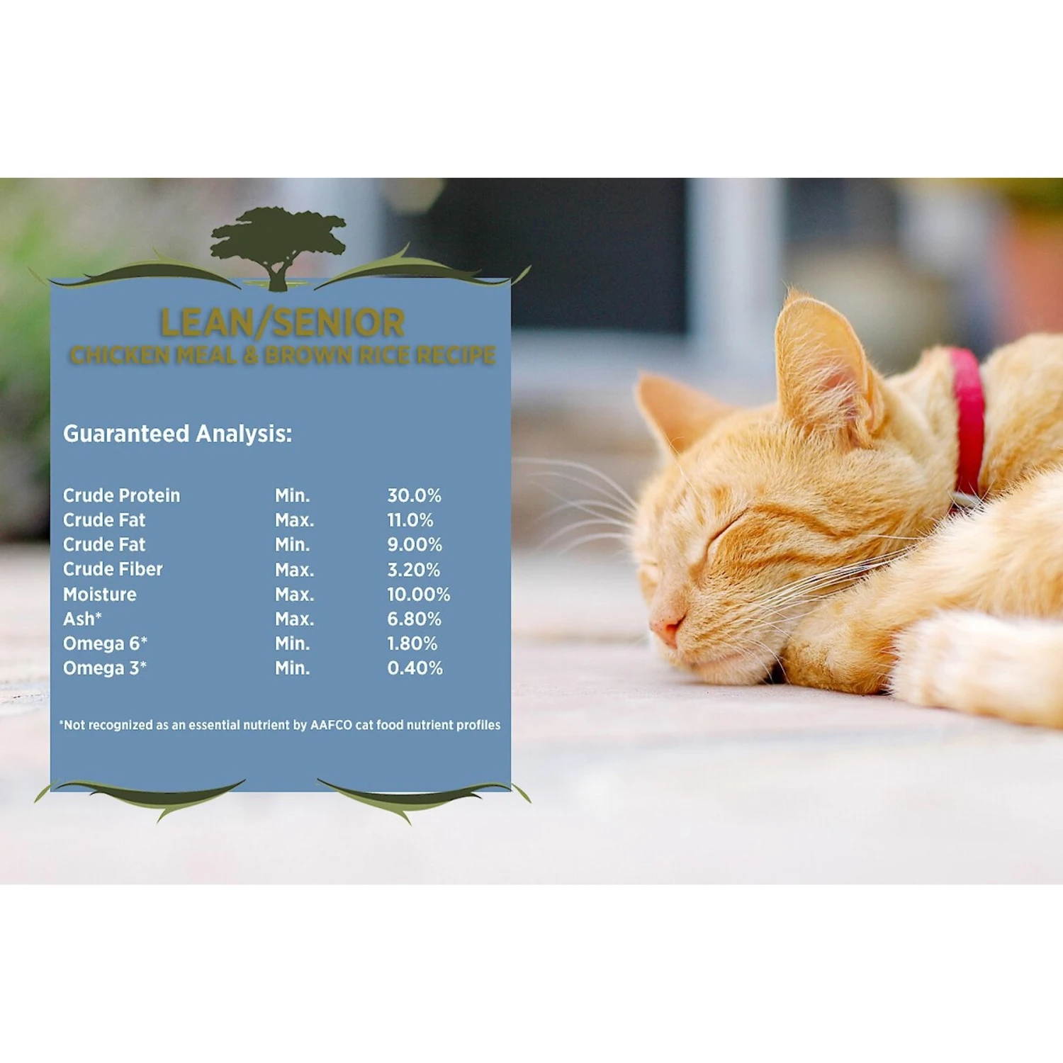 Blackwood Chicken Meal & Rice Recipe Lean Dry Cat Food 5 Blackwood Chicken Meal & Rice Recipe Lean Dry Cat Food - Image 3