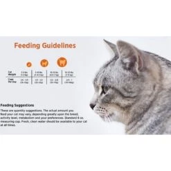 Blackwood Chicken Meal & Rice Recipe Indoor Formula Dry Cat Food -Blue Buffalo Shop 79093 PT4. AC SS1800 V1550528541