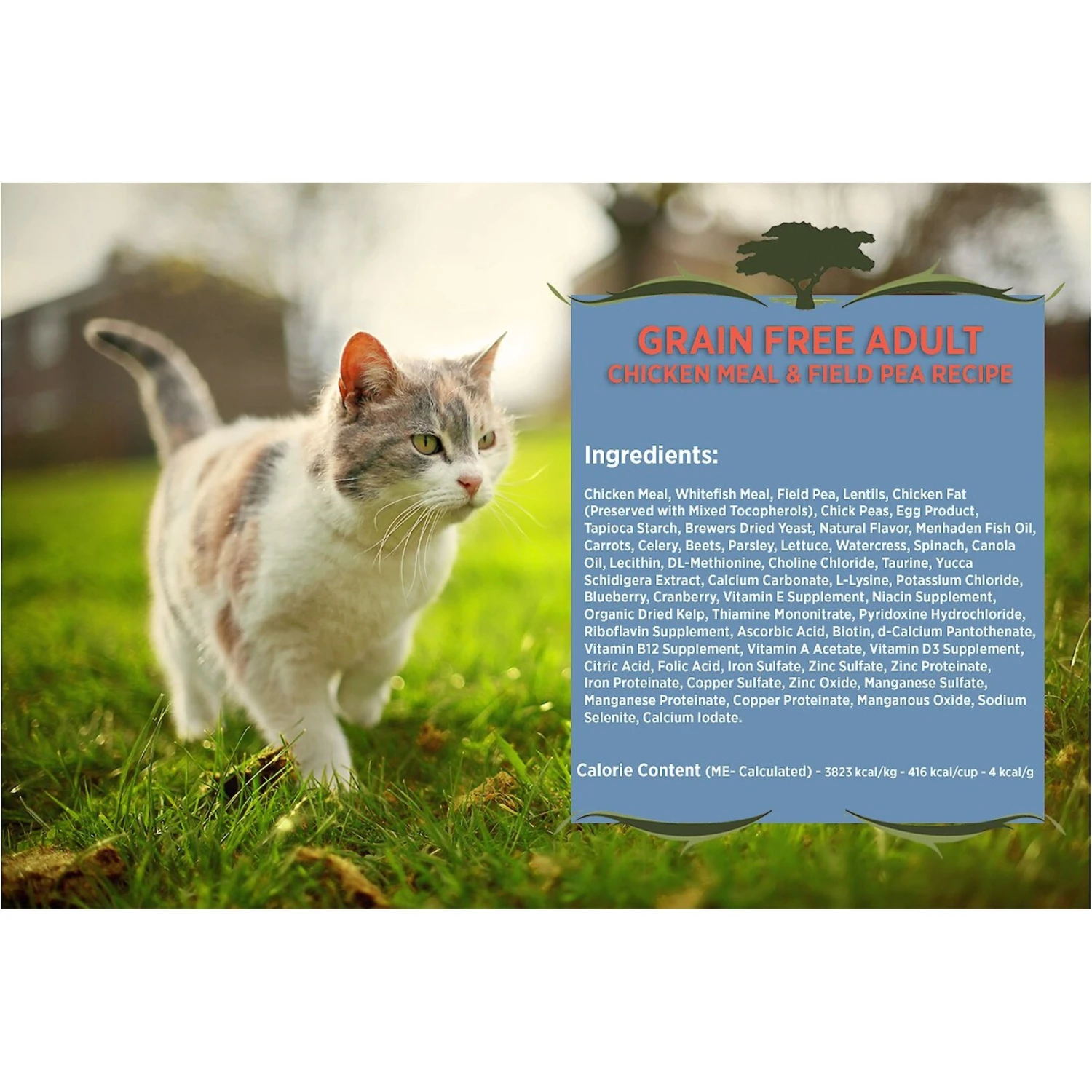 Blackwood Chicken Meal & Field Pea Recipe Grain-Free Dry Cat Food 5 Blackwood Chicken Meal & Field Pea Recipe Grain-Free Dry Cat Food - Image 3