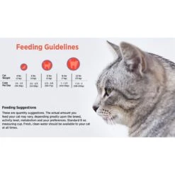 Blackwood Chicken Meal & Field Pea Recipe Grain-Free Dry Cat Food 13 Blackwood Chicken Meal & Field Pea Recipe Grain-Free Dry Cat Food -Blue Buffalo Shop 79100 PT4. AC SS1800 V1550528544