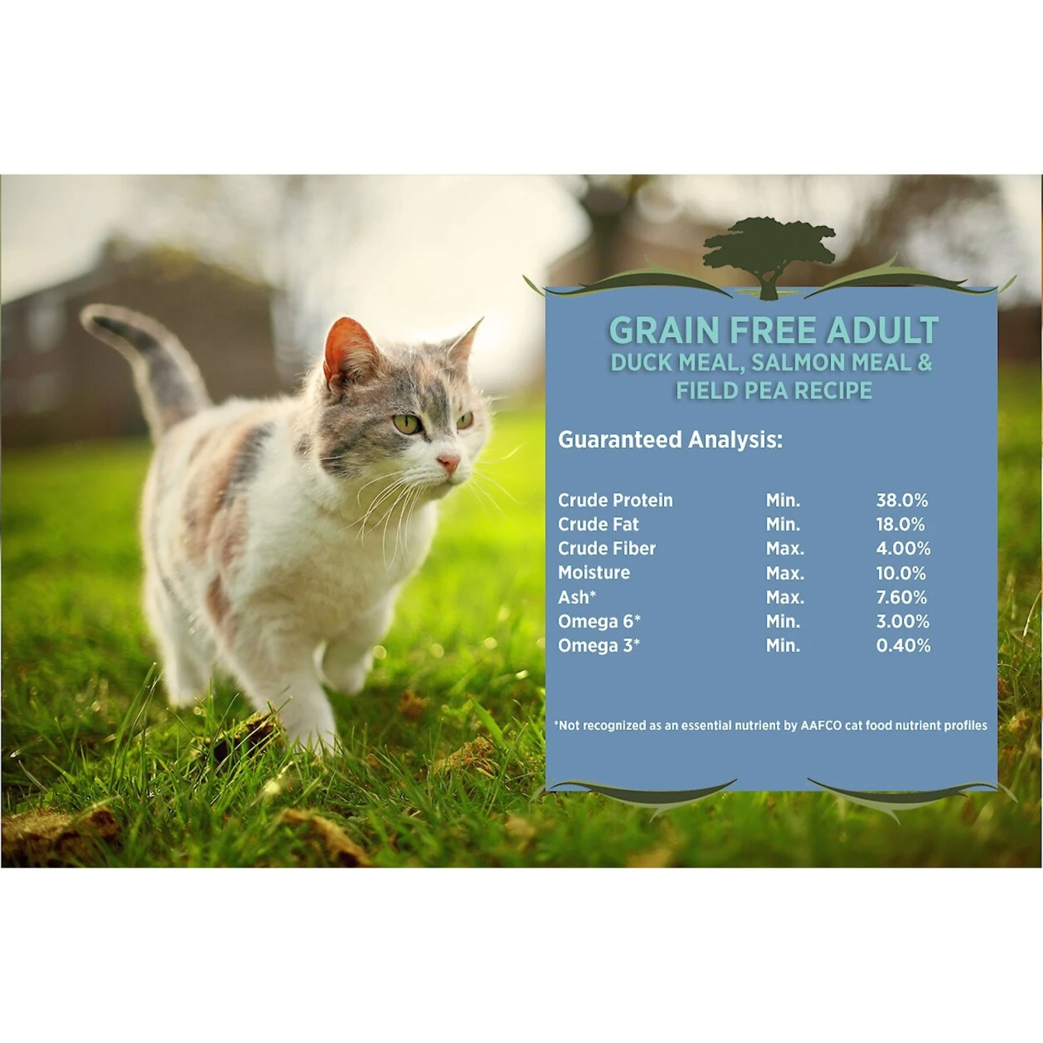Blackwood Duck Meal, Salmon Meal & Field Pea Grain-Free Dry Cat Food 6 Blackwood Duck Meal, Salmon Meal & Field Pea Grain-Free Dry Cat Food - Image 4