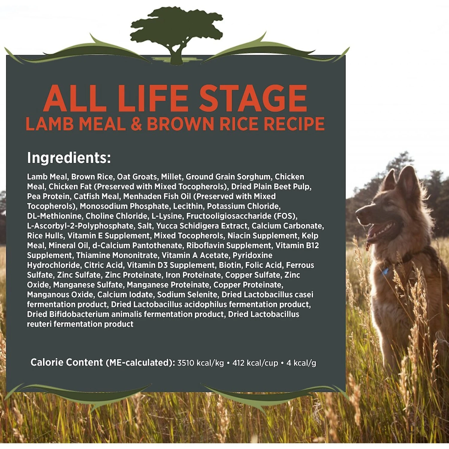 Blackwood 3000 Lamb Meal & Brown Rice Recipe Everyday Diet Dry Dog Food 4 Blackwood 3000 Lamb Meal & Brown Rice Recipe Everyday Diet Dry Dog Food - Image 2