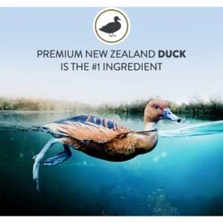 Addiction Duck Royale Grain-Free Dry Cat Food, 10-lb Bag -Blue Buffalo Shop 792054 PT3. AC SS1800 V1677597976