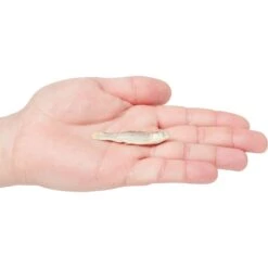 Vital Essentials Minnows Freeze-Dried Raw Cat Treats 10 Vital Essentials Minnows Freeze-Dried Raw Cat Treats -Blue Buffalo Shop 793534 PT2. AC SS1800 V1680122877