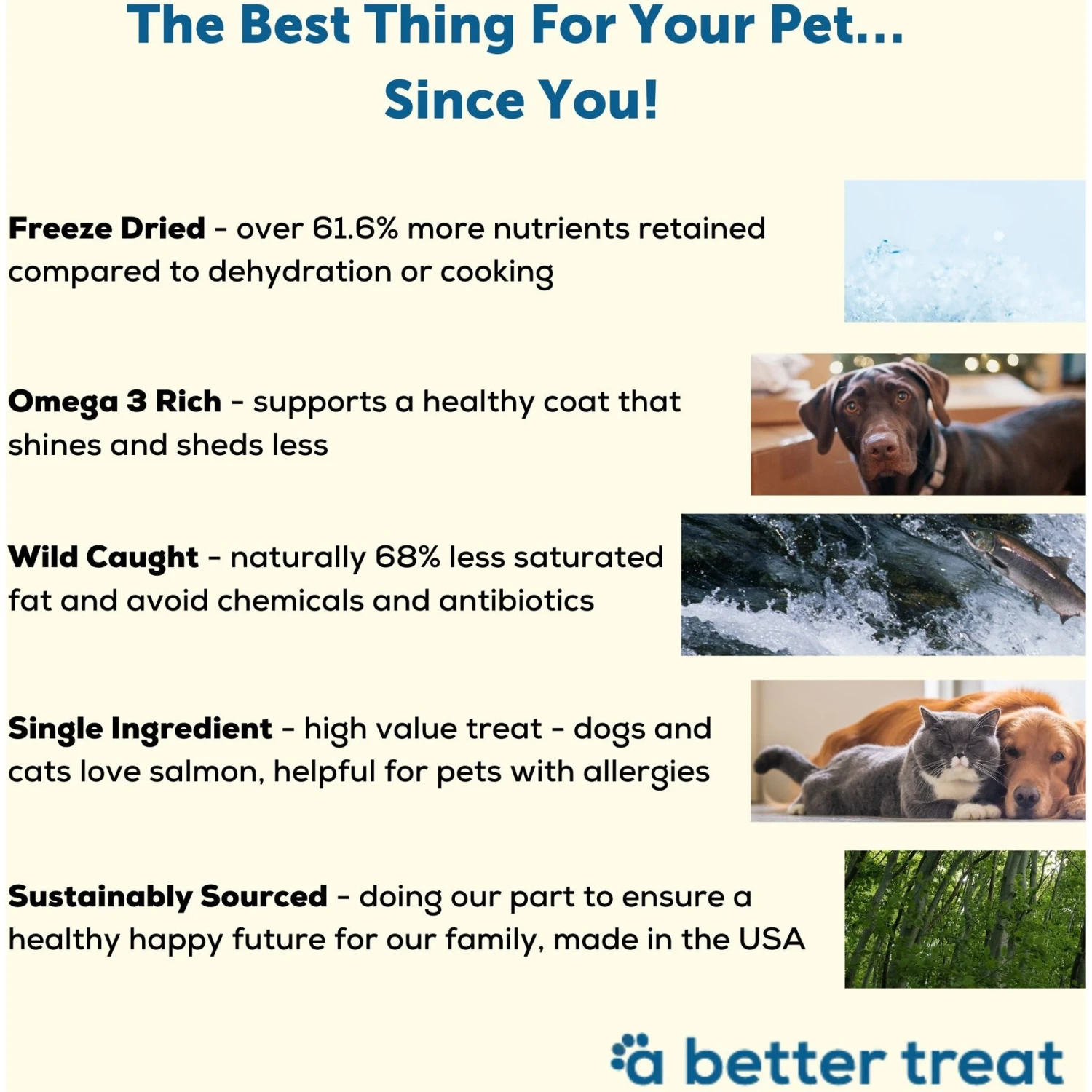 A Better Treat Freeze-Dried Salmon Dog & Cat Treat, 3-oz Bag 5 A Better Treat Freeze-Dried Salmon Dog & Cat Treat, 3-oz Bag - Image 3