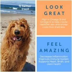 A Better Treat Freeze-Dried Salmon Dog & Cat Treat, 3-oz Bag 15 A Better Treat Freeze-Dried Salmon Dog & Cat Treat, 3-oz Bag -Blue Buffalo Shop 793838 PT6. AC SS1800 V1677695907