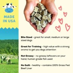 A Better Treat Freeze-Dried Beef Dog & Cat Treat, 3-oz Bag -Blue Buffalo Shop 793854 PT3. AC SS1800 V1677693583