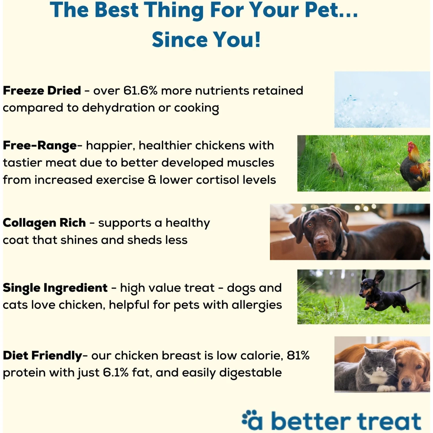 A Better Treat Freeze-Dried Chicken Breast Dog & Cat Treat, 3-oz Bag 5 A Better Treat Freeze-Dried Chicken Breast Dog & Cat Treat, 3-oz Bag - Image 3