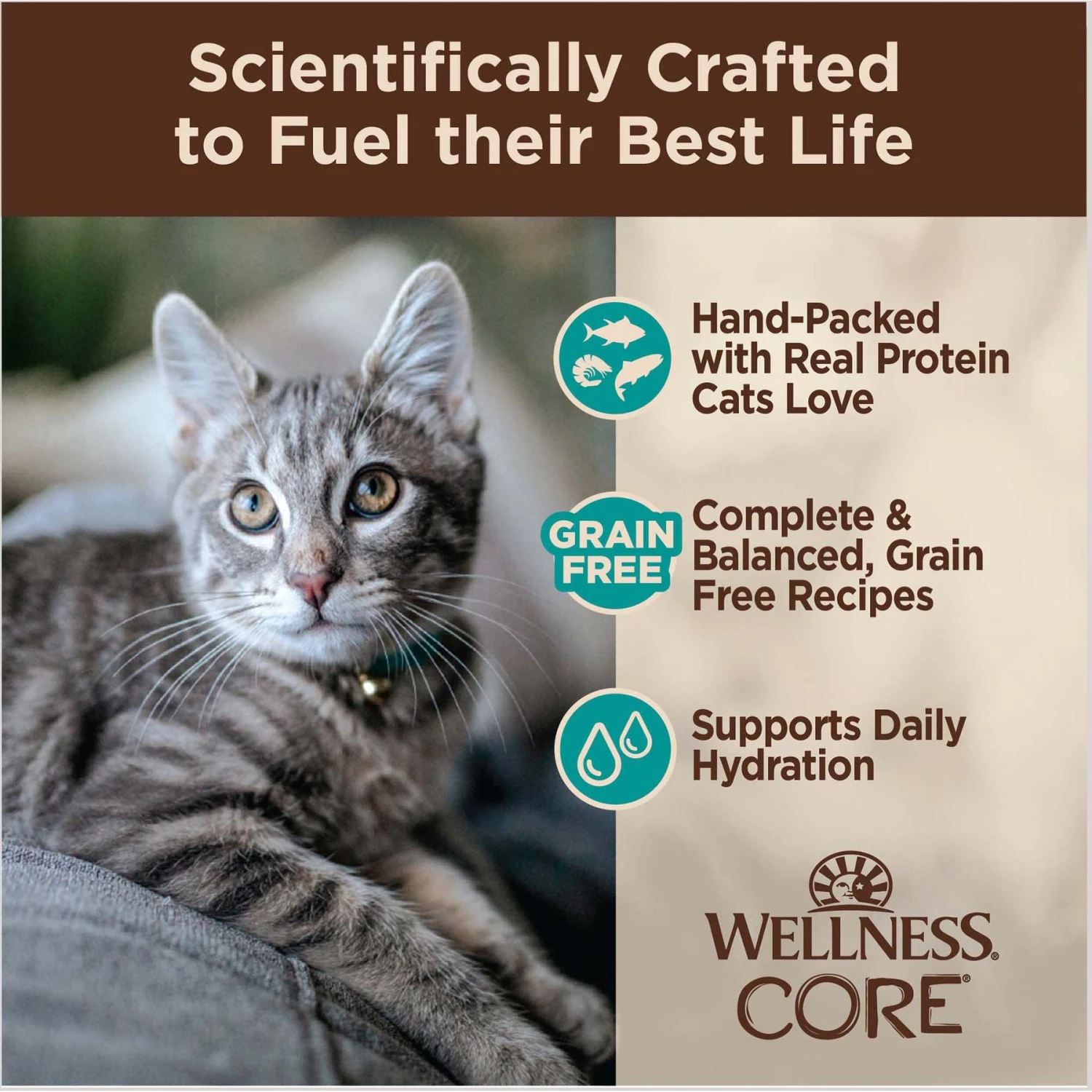 Wellness CORE Signature Select Flaked Sea Variety Pack Wet Cat 6 Wellness CORE Signature Select Flaked Sea Variety Pack Wet Cat - Image 4