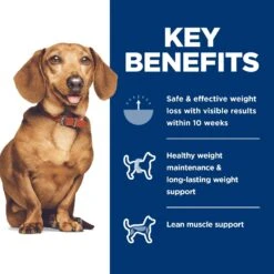 Hill's Science Diet Adult Perfect Weight Small & Mini Chicken Recipe Dry Dog Food 17 Hill's Science Diet Adult Perfect Weight Small & Mini Chicken Recipe Dry Dog Food -Blue Buffalo Shop 794902 PT6. AC SS1800 V1682950512