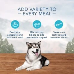 Blue Buffalo Wilderness Beef & Salmon Variety Pack Wet Dog Food & Blue Buffalo Life Protection Formula Large Breed Adult Chicken & Brown Rice Recipe Dry Dog Food -Blue Buffalo Shop 796198 PT4. AC SS1800 V1678140397