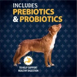 Triumph Free Spirit Grain-Free Deboned Salmon & Sweet Potato Recipe Dry Dog Food -Blue Buffalo Shop 79668 PT6. AC SS1800 V1657661028