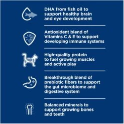 Hill's Science Diet Kitten Dry Ocean Fish & Brown Rice Recipe Dry Cat Food -Blue Buffalo Shop 804070 PT3. AC SS1800 V1682950491
