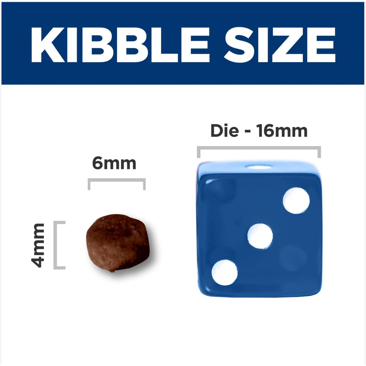 Hill's Science Diet Kitten Dry Ocean Fish & Brown Rice Recipe Dry Cat Food 7 Hill's Science Diet Kitten Dry Ocean Fish & Brown Rice Recipe Dry Cat Food - Image 5