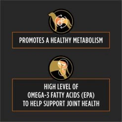 Purina Pro Plan Veterinary Diets OM Metabolic Response Plus Joint Mobility Dry Dog Food -Blue Buffalo Shop 804374 PT4. AC SS1800 V1678722431