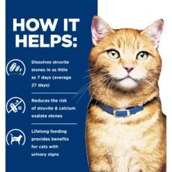 Hill's Prescription Diet C/d Multicare Urinary Care Ocean Fish Dry Cat Food 14 Hill's Prescription Diet C/d Multicare Urinary Care Ocean Fish Dry Cat Food -Blue Buffalo Shop 80480 PT3. AC SS1800 V1648280786