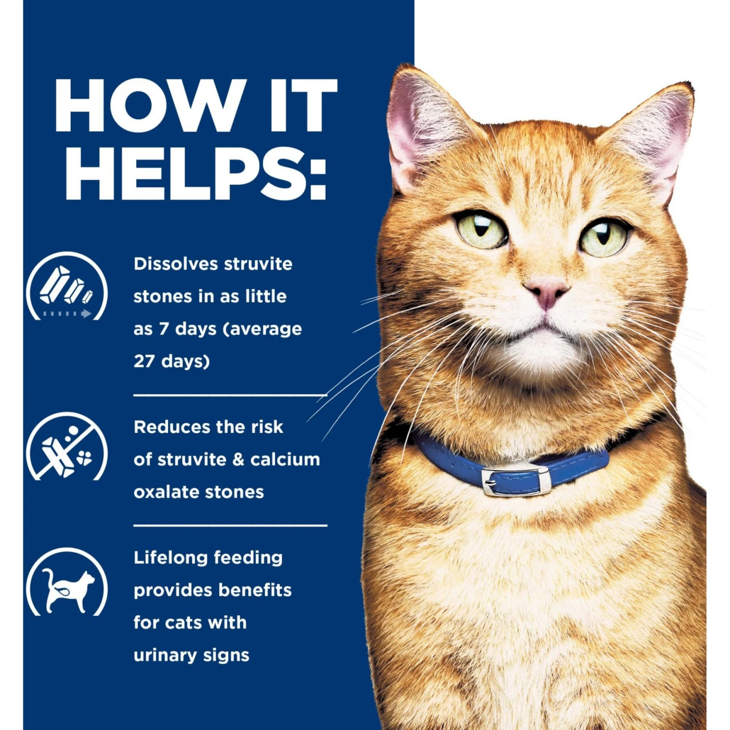 Hill's Prescription Diet C/d Multicare Urinary Care Ocean Fish Dry Cat Food 6 Hill's Prescription Diet C/d Multicare Urinary Care Ocean Fish Dry Cat Food - Image 4