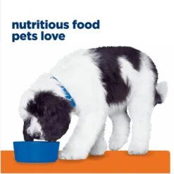 Hill's Prescription Diet C/d Multicare Urinary Care Chicken & Vegetable Stew Canned Dog Food -Blue Buffalo Shop 80492 PT7. AC SS1800 V1676910310