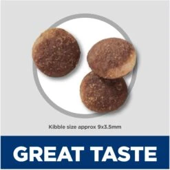 Hill's Science Diet Sensitive Stomach & Sensitive Skin Pollock Meal & Barley Recipe Adult Dry Cat Food 16 Hill's Science Diet Sensitive Stomach & Sensitive Skin Pollock Meal & Barley Recipe Adult Dry Cat Food -Blue Buffalo Shop 819934 PT5. AC SS1800 V1681400031