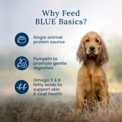 Blue Buffalo Basics LID Skin & Stomach Care Grain-Free Salmon In Gravy Adult Wet Dog Food Topper, 2.5-oz Pouch, Case Of 12 11 Blue Buffalo Basics LID Skin & Stomach Care Grain-Free Salmon In Gravy Adult Wet Dog Food Topper, 2.5-oz Pouch, Case Of 12 -Blue Buffalo Shop 821030 PT3. AC SS1800 V1680280791