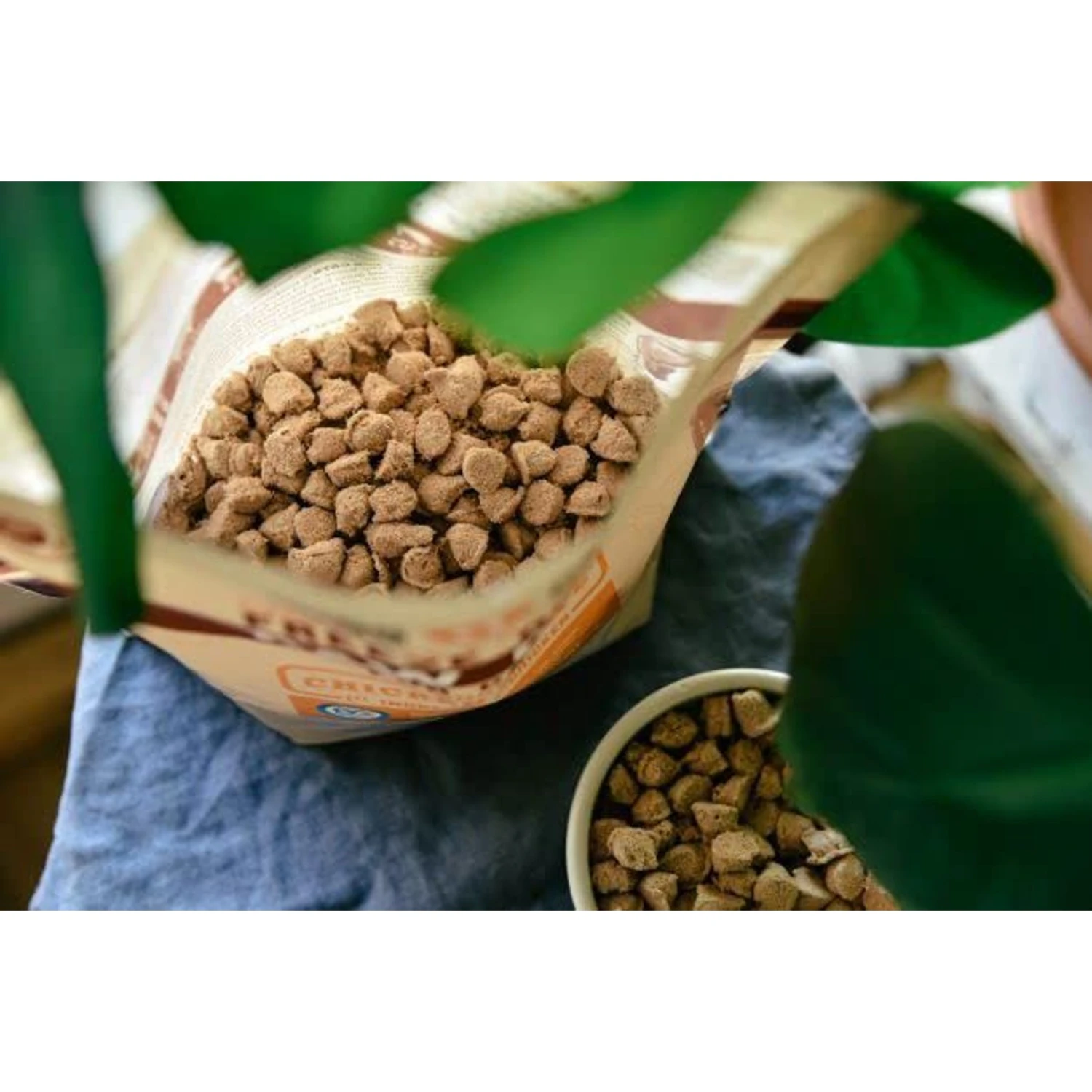 Boss Cat Freeze-Dried Raw Pork Nuggs Dry Cat Food, 9-oz Bag 5 Boss Cat Freeze-Dried Raw Pork Nuggs Dry Cat Food, 9-oz Bag - Image 3