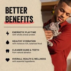 Vital Essentials Freeze-Dried Raw Duck Mini Nibs Entree Cat Food 12 Vital Essentials Freeze-Dried Raw Duck Mini Nibs Entree Cat Food -Blue Buffalo Shop 821558 PT4. AC SS1800 V1687962163