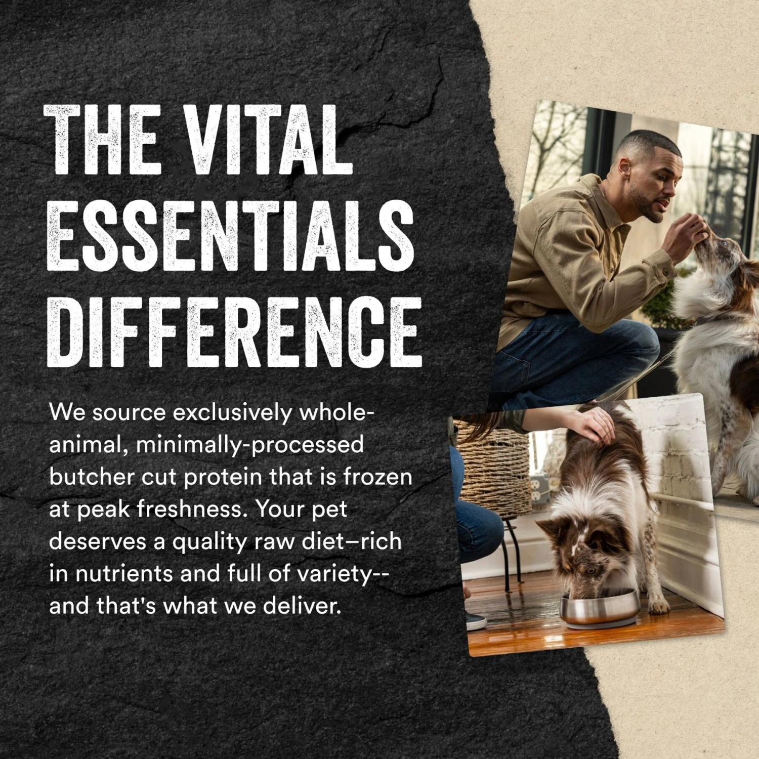 Vital Essentials Freeze-Dried Raw Protein Mix-In Turkey Recipe Ground Dog Food Topper 8 Vital Essentials Freeze-Dried Raw Protein Mix-In Turkey Recipe Ground Dog Food Topper - Image 6