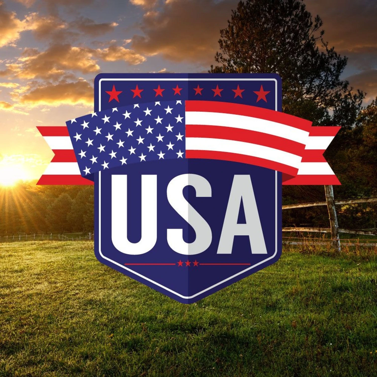 VICTOR Shredded Chicken Dinner Cuts In Gravy Grain-Free Canned Cat Food 7 VICTOR Shredded Chicken Dinner Cuts In Gravy Grain-Free Canned Cat Food - Image 5