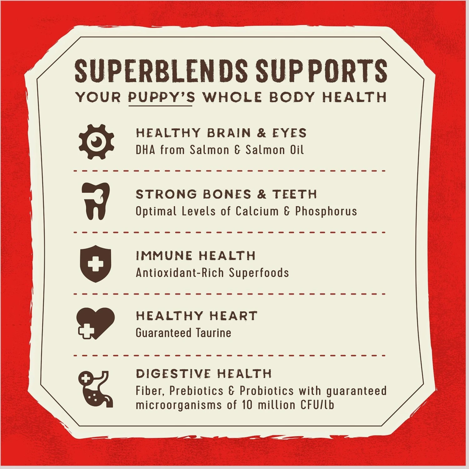 Stella & Chewy's SuperBlends Raw Coated Wholesome Grains Puppy Cage-Free Chicken & Wild-Caught Salmon Recipe With Superfoods Dry Dog Food 11 Stella & Chewy's SuperBlends Raw Coated Wholesome Grains Puppy Cage-Free Chicken & Wild-Caught Salmon Recipe With Superfoods Dry Dog Food - Image 9