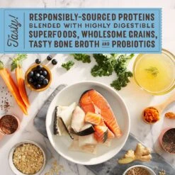 Stella & Chewy's SuperBlends Raw Blend Wholesome Grains Wild-Caught Whitefish & Salmon Recipe With Superfoods Dry Dog Food -Blue Buffalo Shop 825974 PT2. AC SS1800 V1683553312