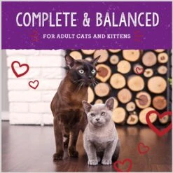 Stella & Chewy's Freeze-Dried Raw Morsels Bountiful Beef Recipe Grain-Free Protein Rich Cat & Kitten Food, 8-oz Bag 18 Stella & Chewy's Freeze-Dried Raw Morsels Bountiful Beef Recipe Grain-Free Protein Rich Cat & Kitten Food, 8-oz Bag -Blue Buffalo Shop 826062 PT7. AC SS1800 V1683565291