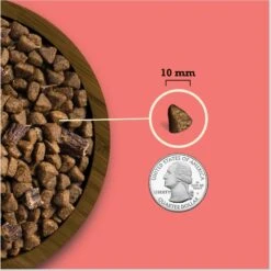 ACANA Butcher’s Favorites Grain-Free Farm-Raised Beef & Liver Recipe Dry Dog Food -Blue Buffalo Shop 826590 PT5. AC SS1800 V1682018306