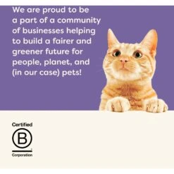 Applaws Fish Variety Pack In Broth Limited Ingredient Canned Wet Cat Food 15 Applaws Fish Variety Pack In Broth Limited Ingredient Canned Wet Cat Food -Blue Buffalo Shop 836342 PT6. AC SS1800 V1685459883