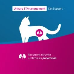 Farmina Vet Life Urinary St Management Feline Dry Cat Food -Blue Buffalo Shop 838046 PT1. AC SS1800 V1703880527