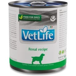Farmina Vet Life Renal Recipe Wet Dog Food