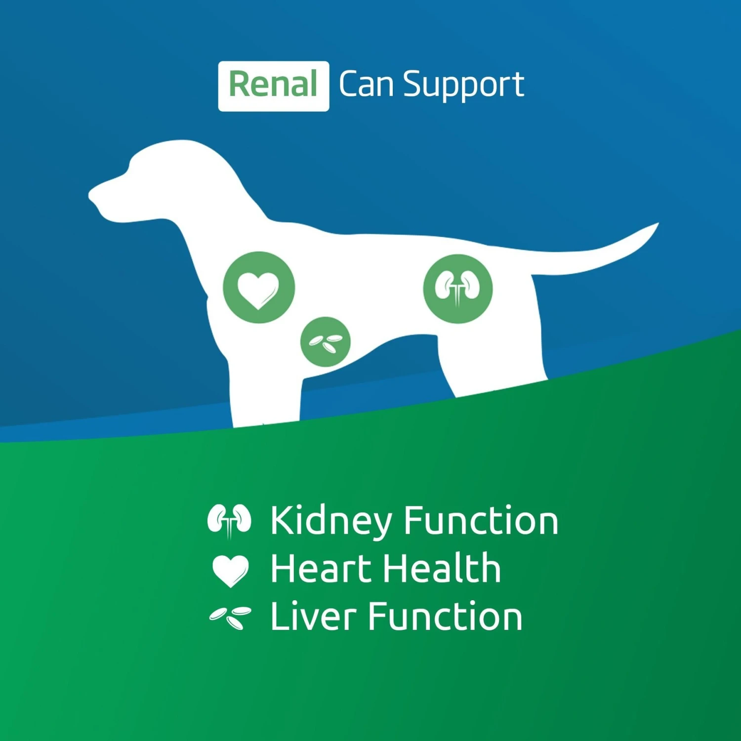 Farmina Vet Life Renal Recipe Wet Dog Food 4 Farmina Vet Life Renal Recipe Wet Dog Food - Image 2