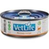 Farmina Vet Life Recoup Recipe Wet Cat Food, 3-oz Can, Case Of 12 2 Farmina Vet Life Recoup Recipe Wet Cat Food, 3-oz Can, Case Of 12 -Blue Buffalo Shop 838182 MAIN. AC SS1800 V1703880349