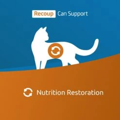 Farmina Vet Life Recoup Recipe Wet Cat Food, 3-oz Can, Case Of 12 10 Farmina Vet Life Recoup Recipe Wet Cat Food, 3-oz Can, Case Of 12 -Blue Buffalo Shop 838182 PT1. AC SS1800 V1703880349