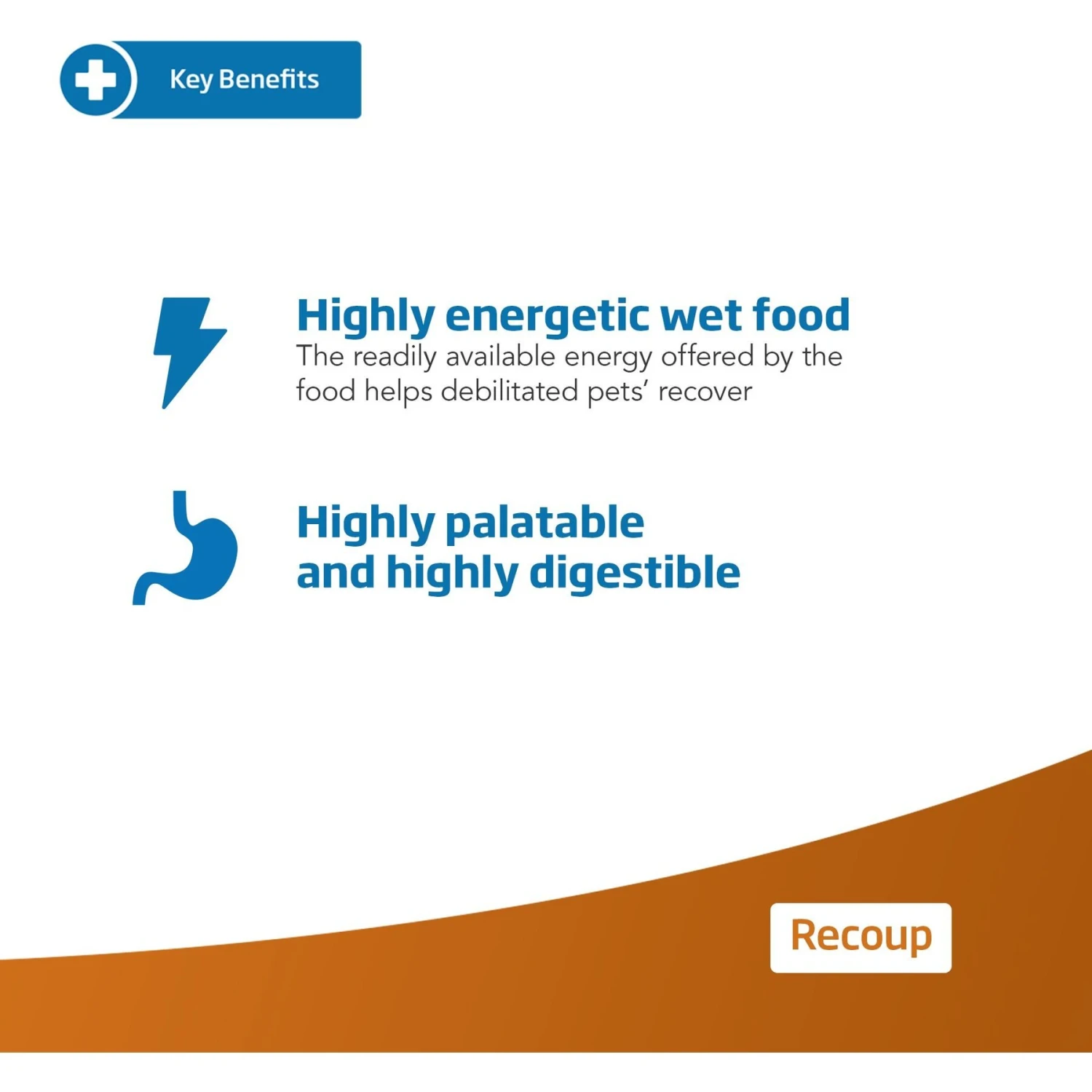 Farmina Vet Life Recoup Recipe Wet Cat Food, 3-oz Can, Case Of 12 5 Farmina Vet Life Recoup Recipe Wet Cat Food, 3-oz Can, Case Of 12 - Image 3