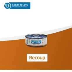 Farmina Vet Life Recoup Recipe Wet Cat Food, 3-oz Can, Case Of 12 15 Farmina Vet Life Recoup Recipe Wet Cat Food, 3-oz Can, Case Of 12 -Blue Buffalo Shop 838182 PT6. AC SS1800 V1703880350