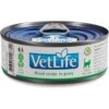 Farmina Vet Life Cat Renal Recipe In Gravy Wet Cat Food 2 Farmina Vet Life Cat Renal Recipe In Gravy Wet Cat Food -Blue Buffalo Shop 838214 MAIN. AC SS1800 V1703880290