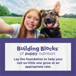 Puppy Chow High Protein With Real Chicken Large Breed Dry Puppy Food -Blue Buffalo Shop 839694 PT2. AC SS1800 V1701881168