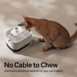 Petlibro Dockstream Battery Operated Cat Water Fountain -Blue Buffalo Shop 842454 PT6. AC SS1800 V1684348365