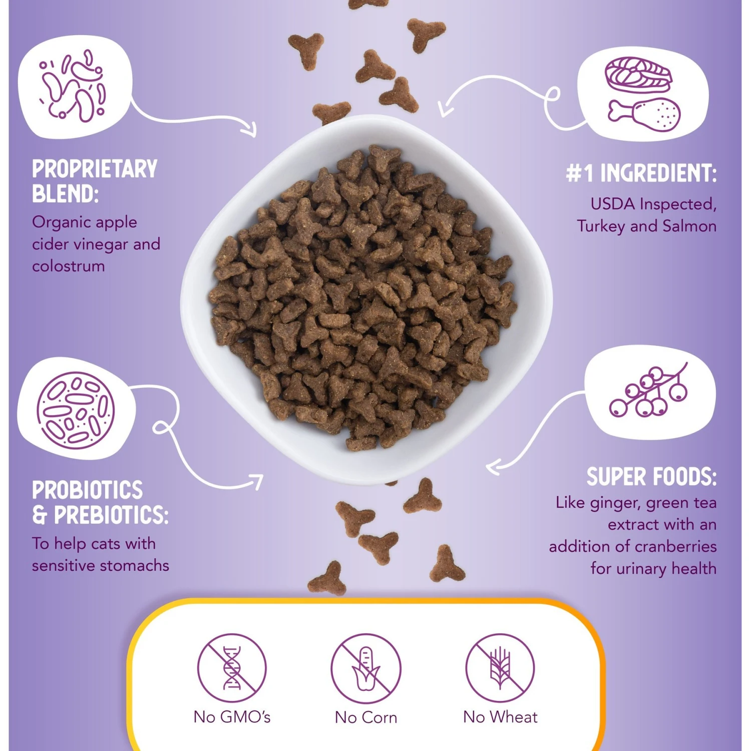 Health Extension Grain-Free Turkey & Salmon Recipe Dry Cat Food 6 Health Extension Grain-Free Turkey & Salmon Recipe Dry Cat Food - Image 4