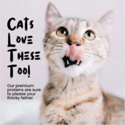 Sprankles Duck Hearts Grain-Free Freeze-Dried Cat & Dog Treat -Blue Buffalo Shop 842990 PT4. AC SS1800 V1683817250